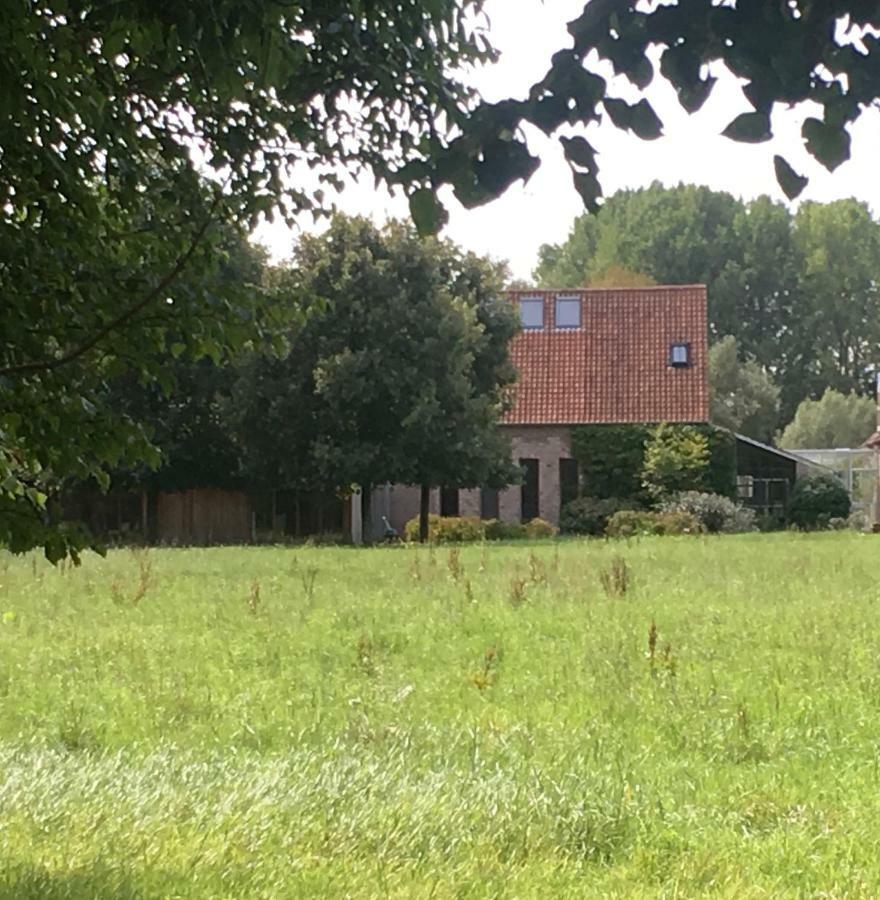 Het Zwaantje Villa Londerzeel Exteriör bild