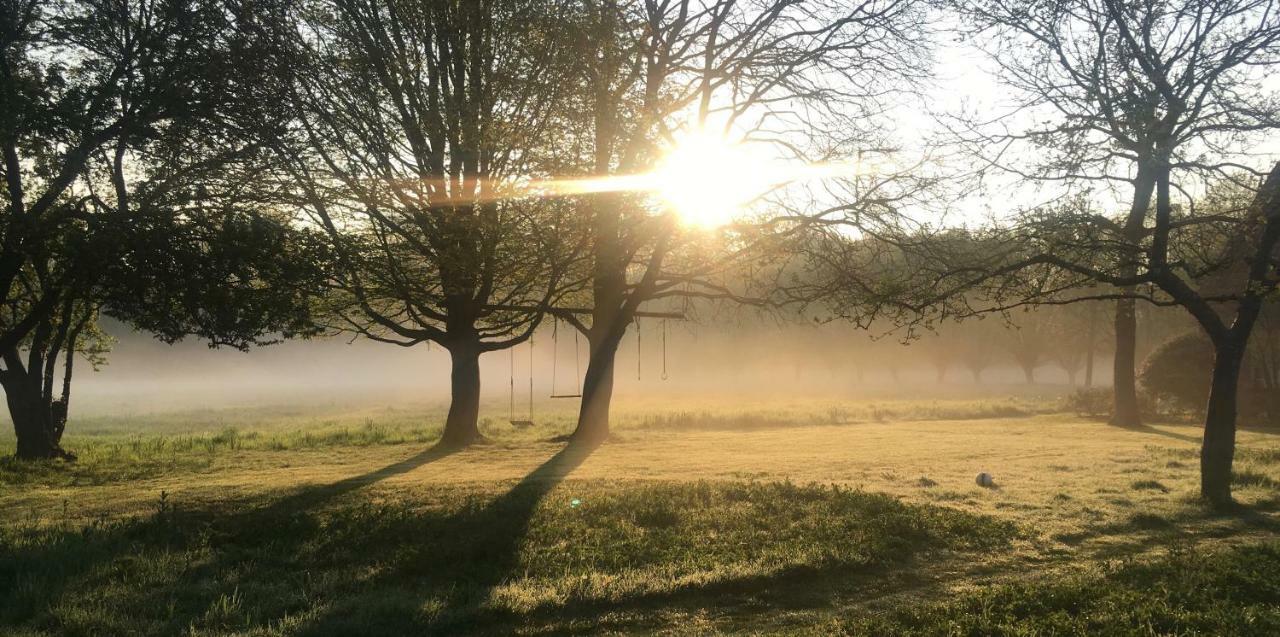 Het Zwaantje Villa Londerzeel Exteriör bild