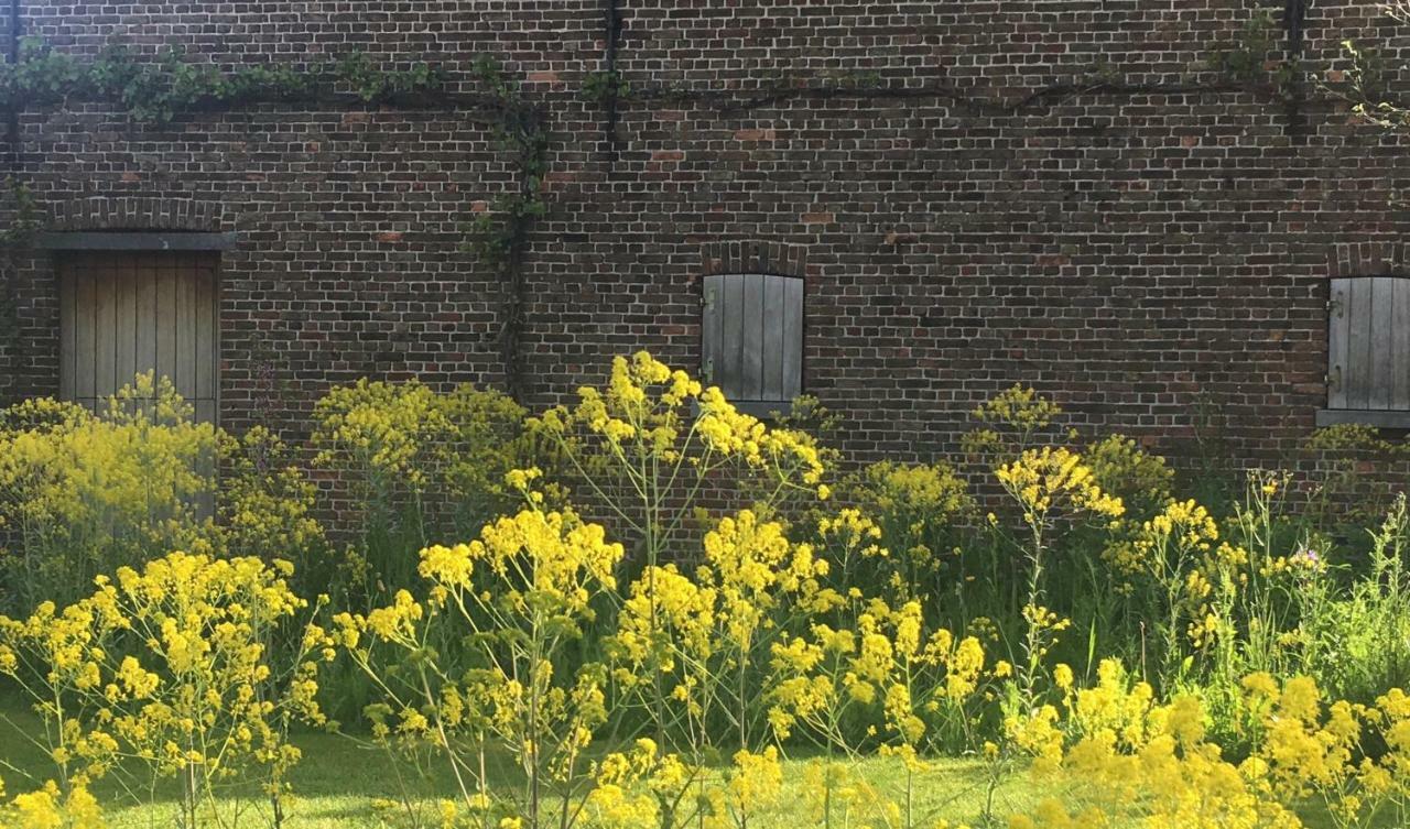 Het Zwaantje Villa Londerzeel Exteriör bild