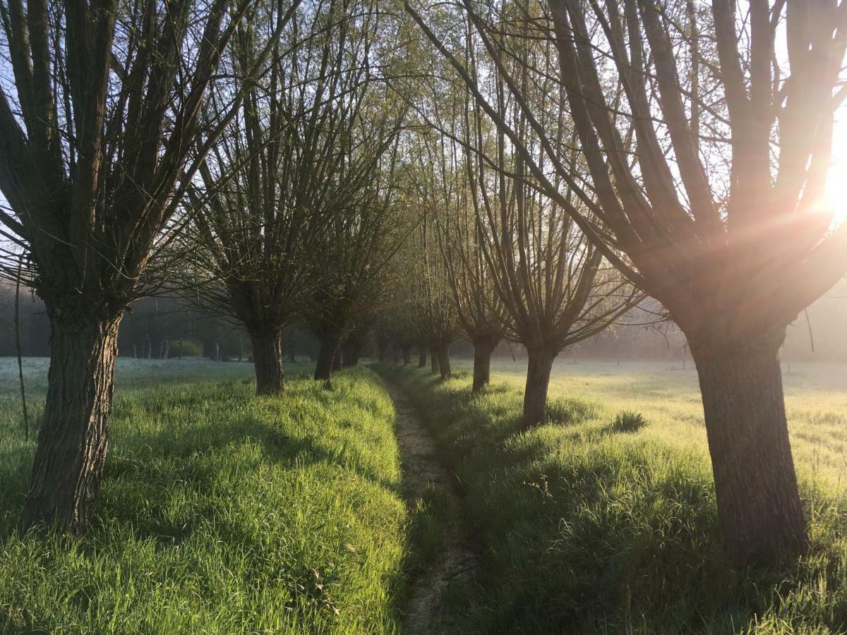 Het Zwaantje Villa Londerzeel Exteriör bild