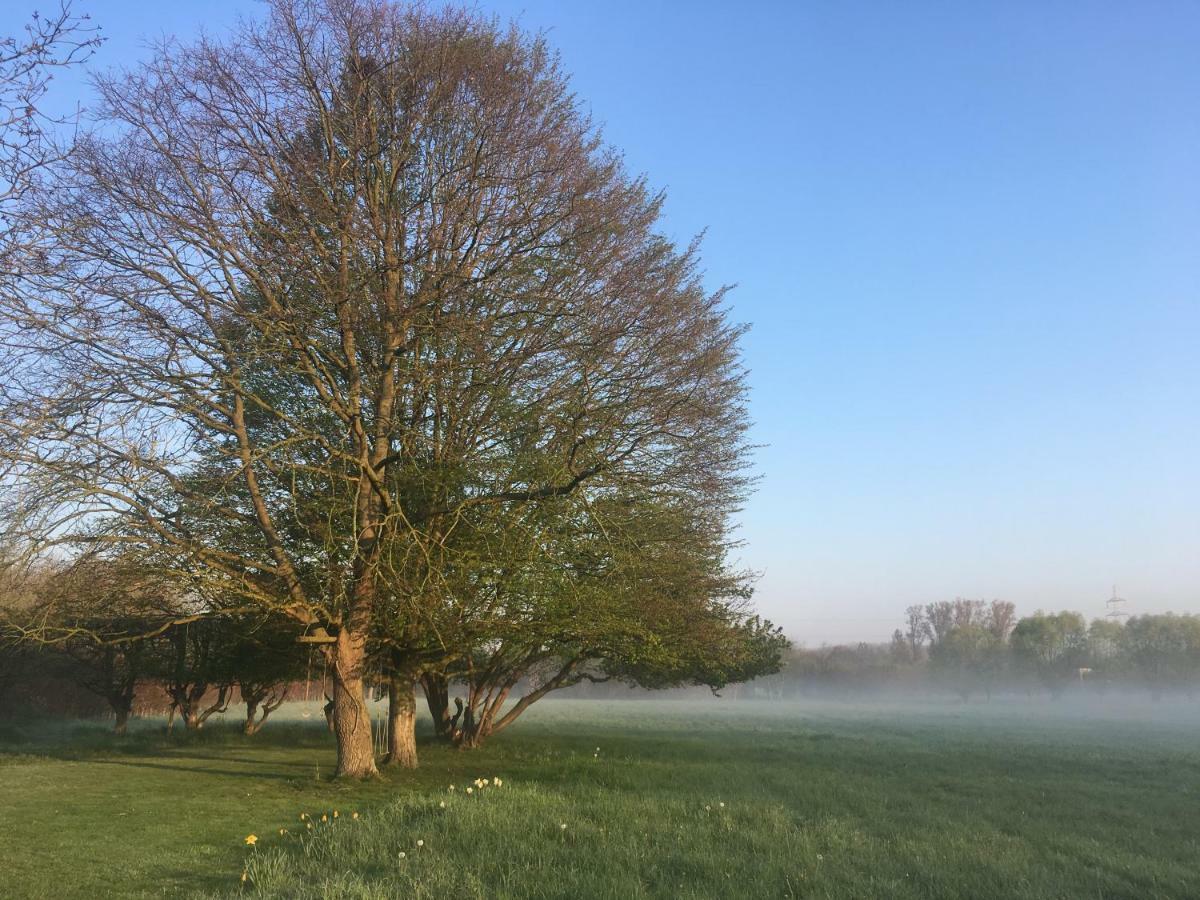 Het Zwaantje Villa Londerzeel Exteriör bild