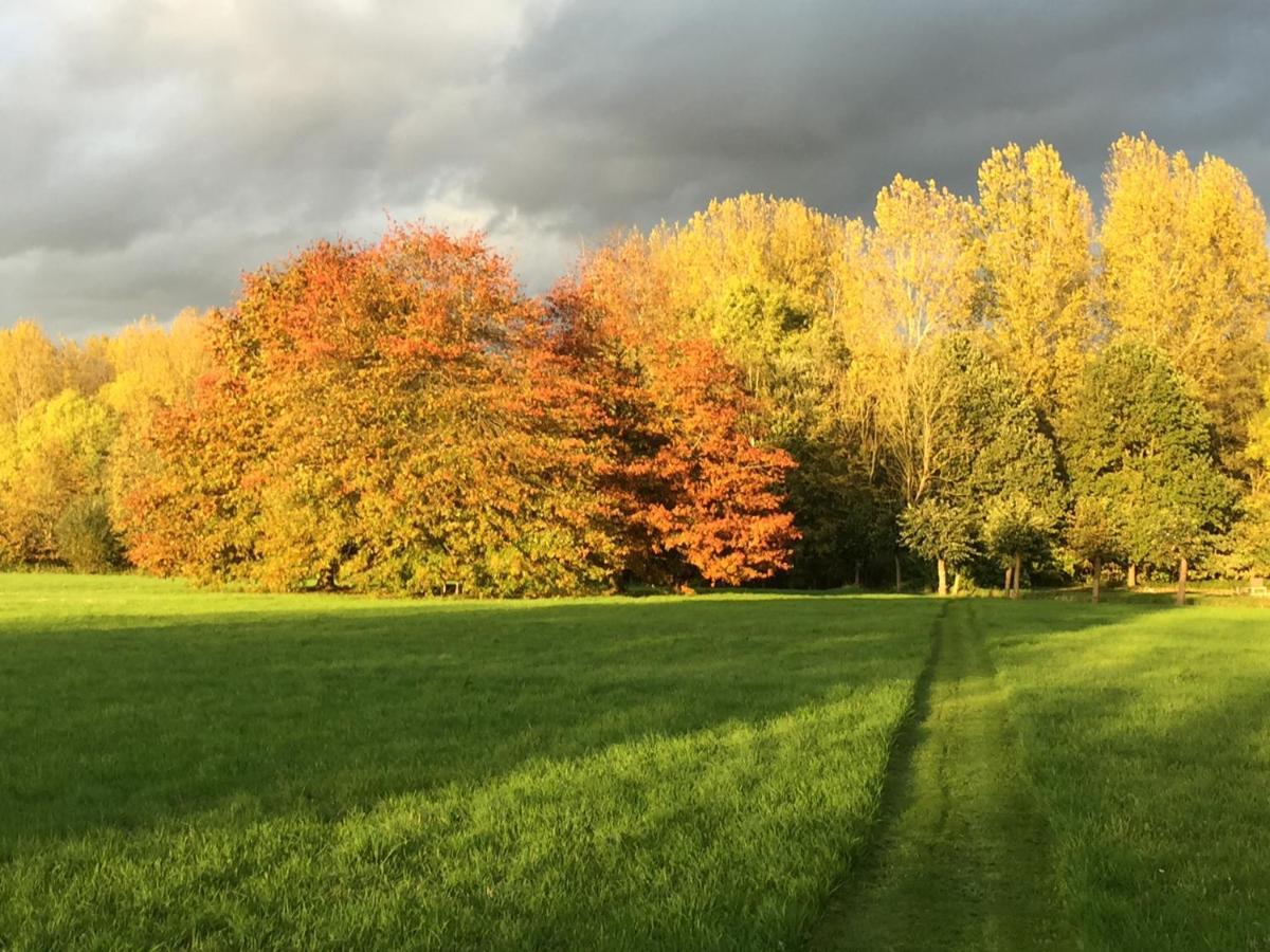 Het Zwaantje Villa Londerzeel Exteriör bild